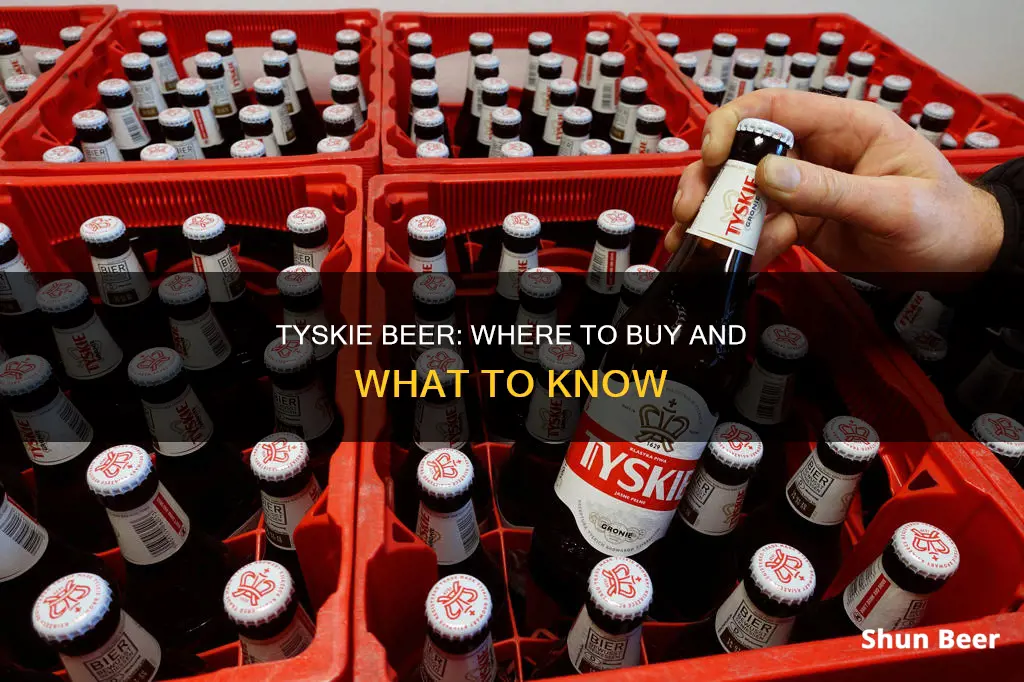 where can i buy tyskie beer