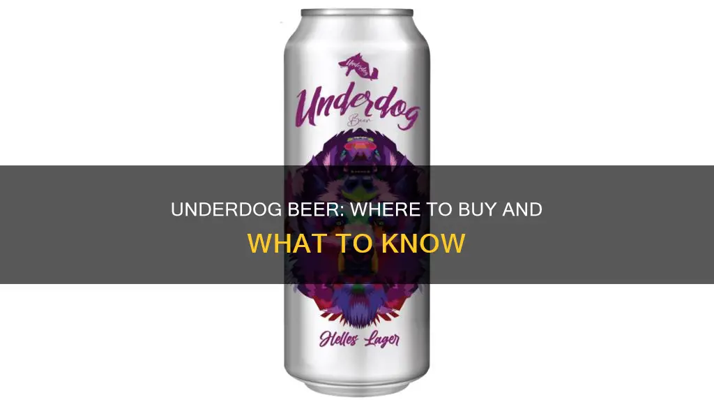 where can i buy underdog beer