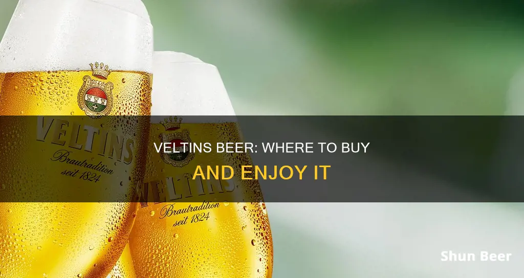 where can i buy veltins beer