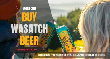 Wasatch Beer: Where to Buy and What to Know