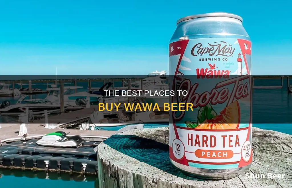 where can i buy wawa beer