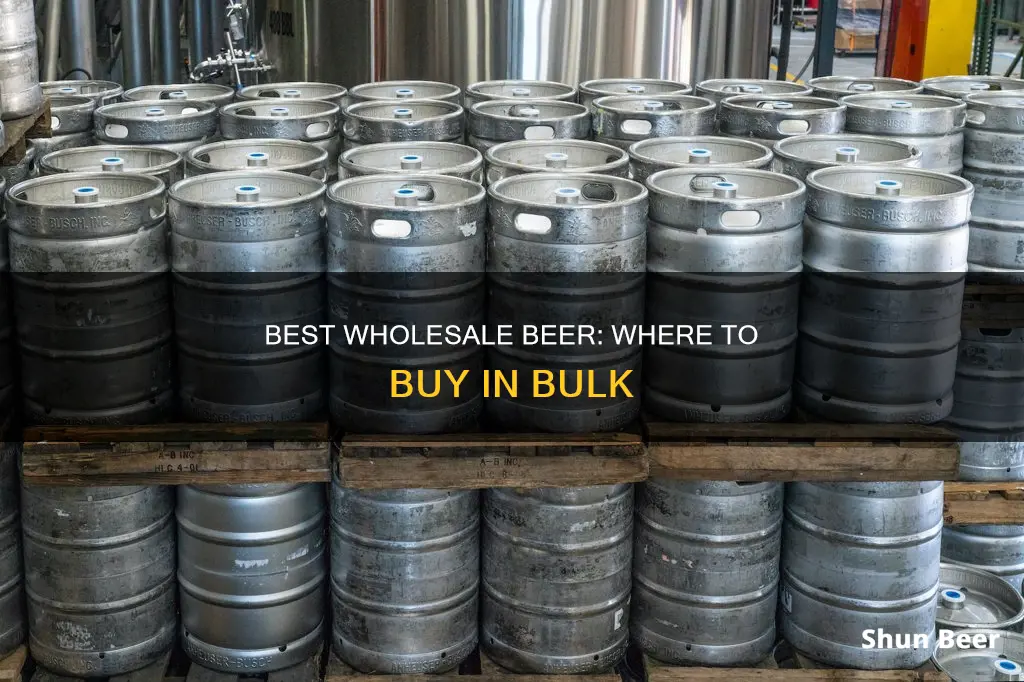 where can i buy wholesale beer