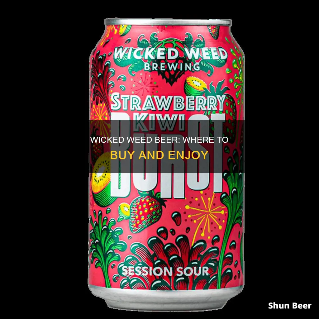 where can i buy wicked weed beer