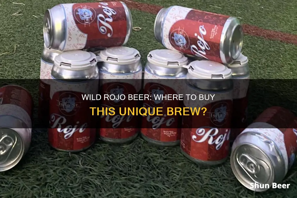 where can i buy wild rojo beer