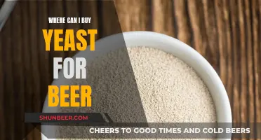 Best Places to Buy Yeast for Beer