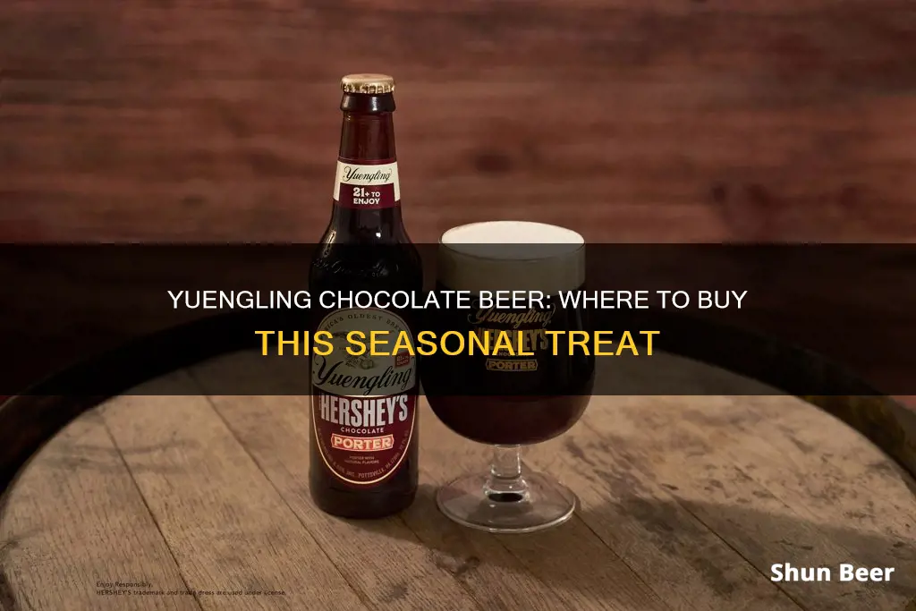 where can i buy yuengling chocolate beer