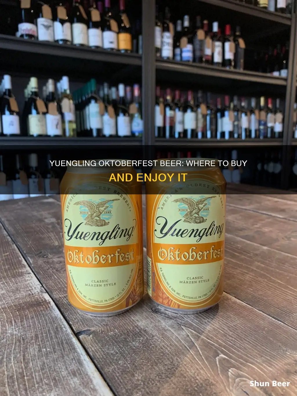 where can i buy yuengling oktoberfest beer