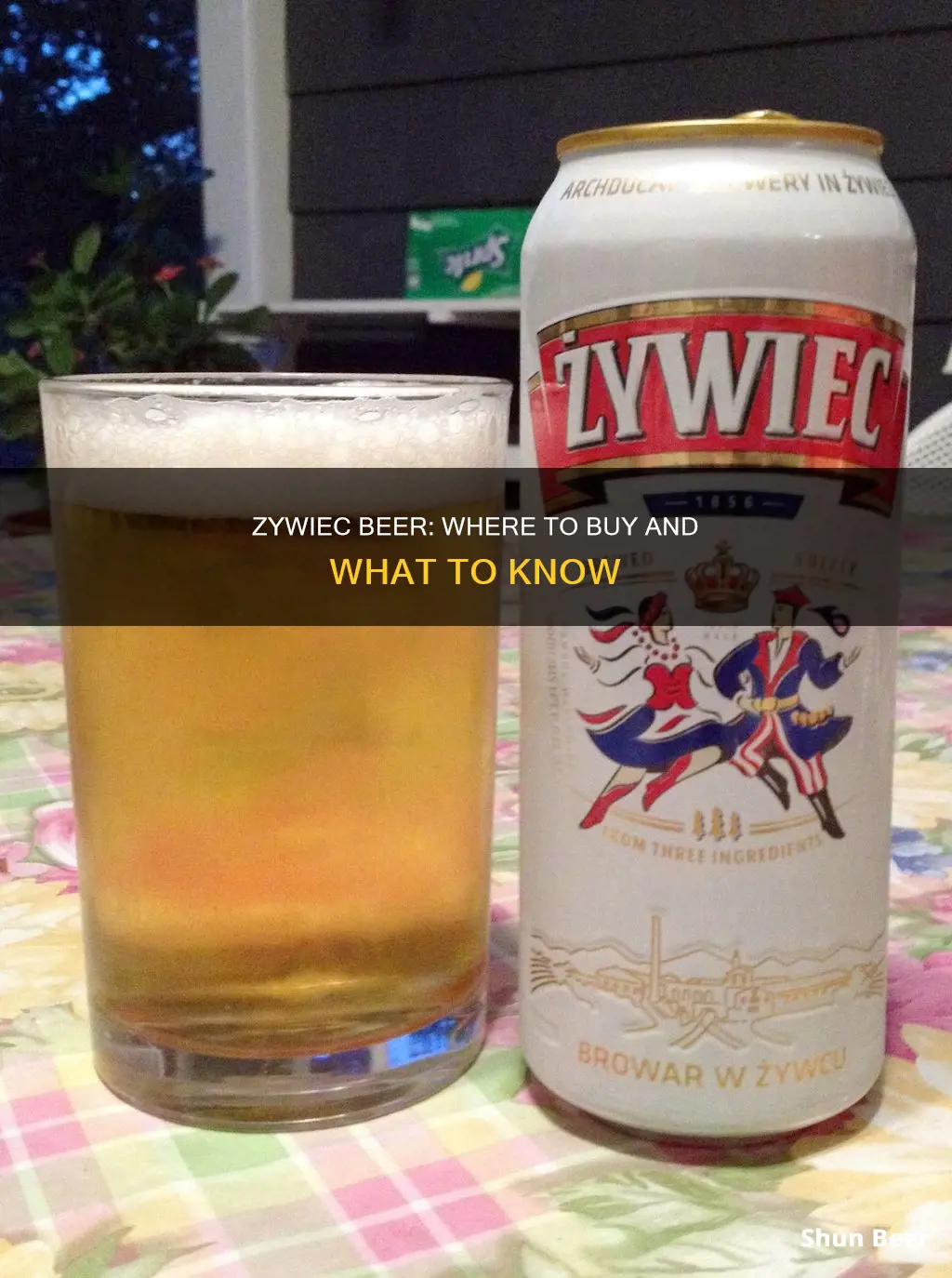 where can i buy zywiec beer