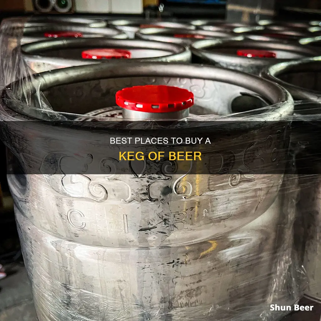 where can you buy a keg of beer