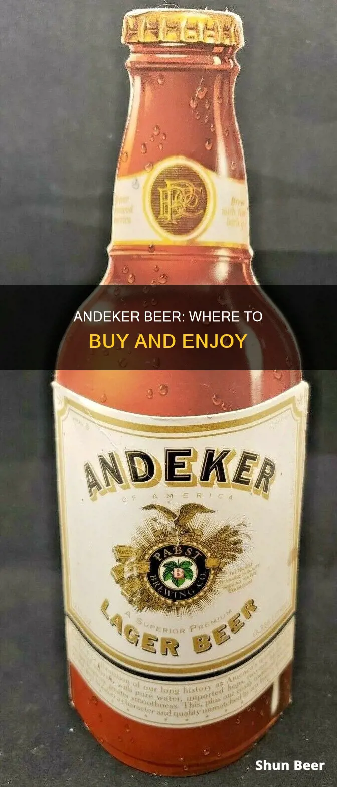 where can you buy andeker beer