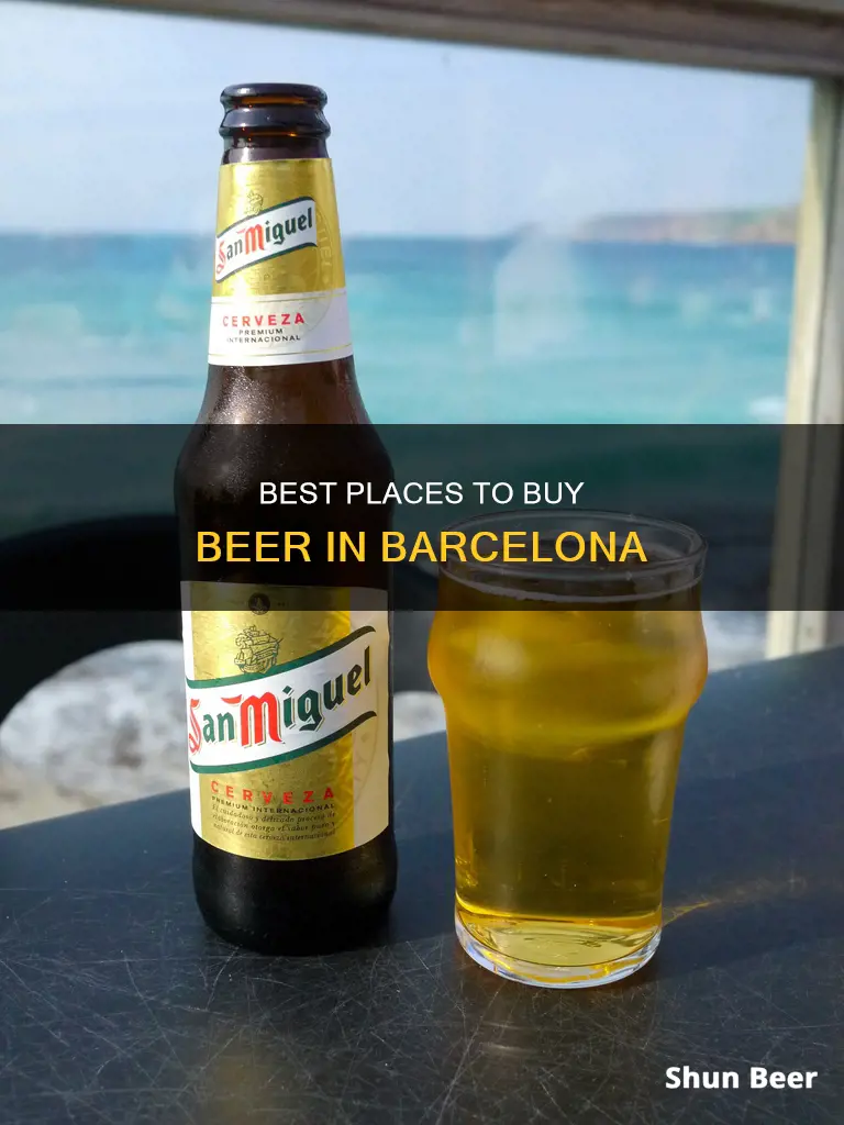 where can you buy beer in barcelona