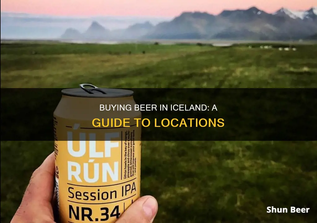 where can you buy beer in iceland