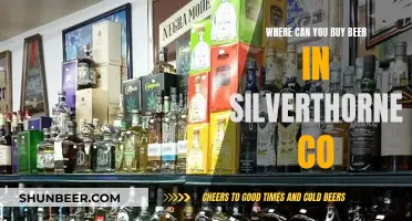 Best Beer Buying Options in Silverthorne, CO