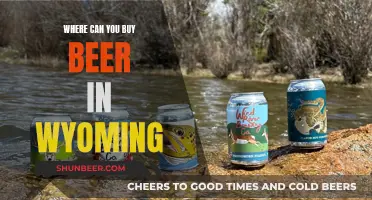 Wyoming Beer: Where to Buy and Enjoy