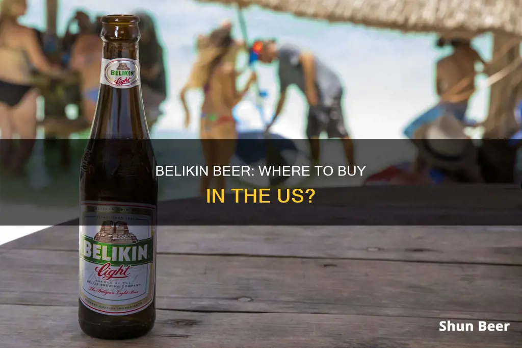 where can you buy belikin beer in the us