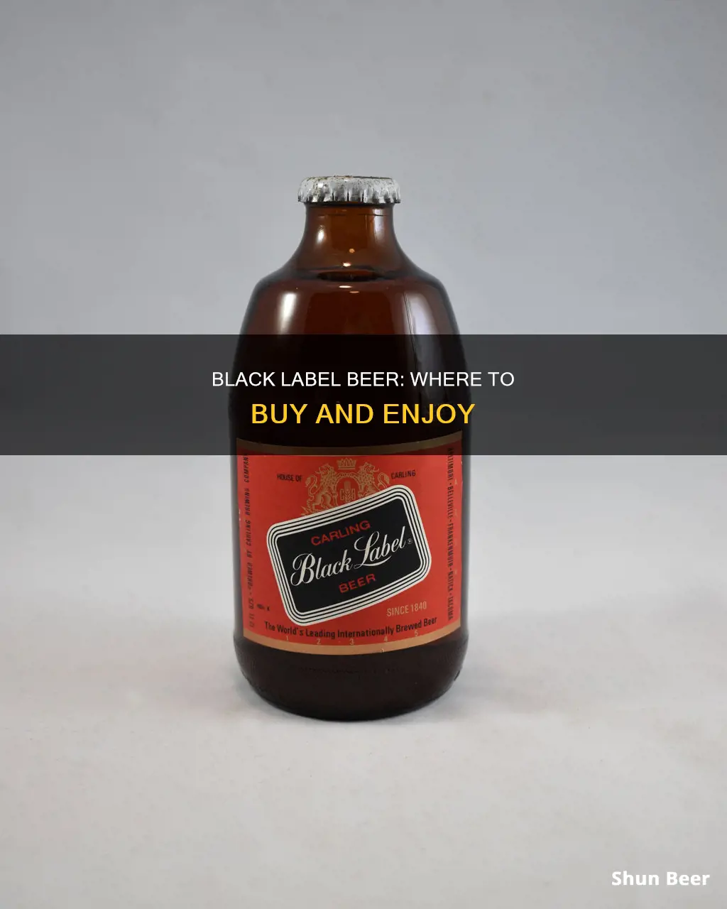 where can you buy black label beer