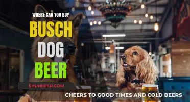 Busch Dog Beer: Where to Buy This Canine Treat?