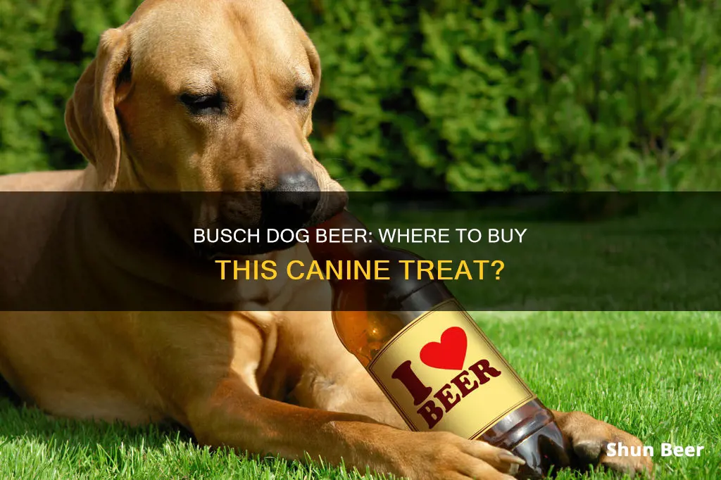 where can you buy busch dog beer