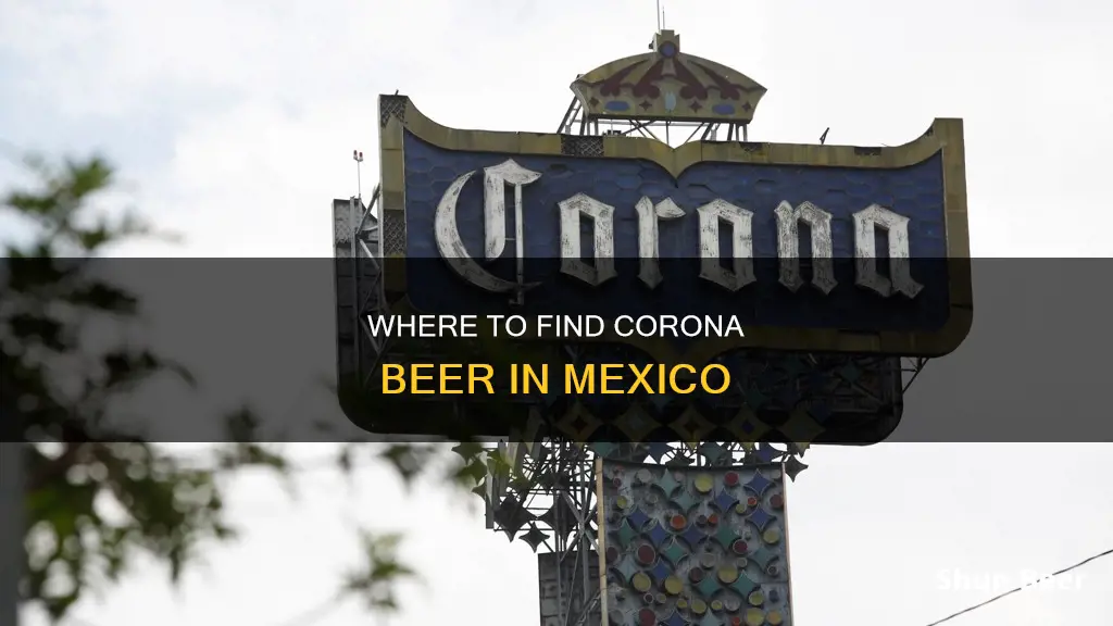 where can you buy corona beer in mexico