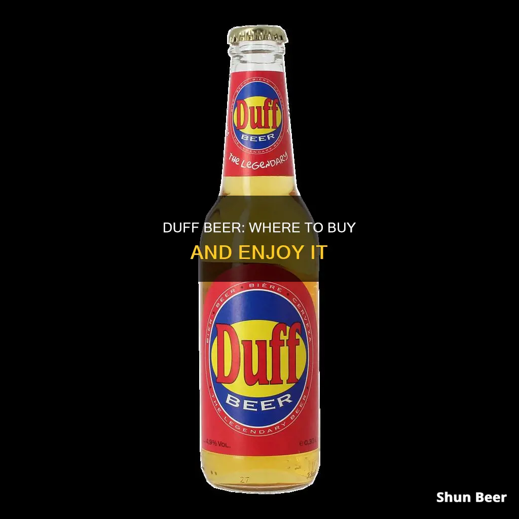 where can you buy duff beer