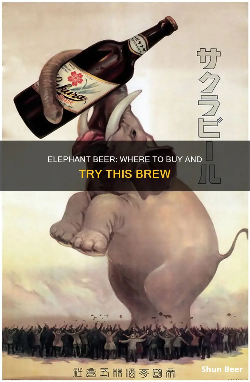 where can you buy elephant beer