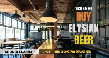 Elysian Beer: Where to Buy and What to Know