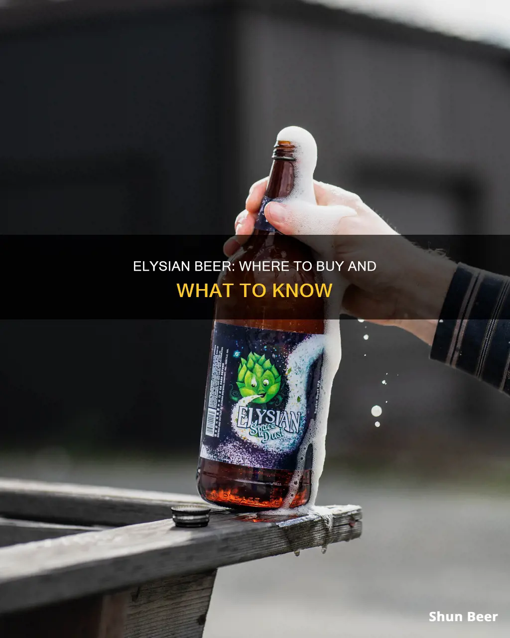 where can you buy elysian beer