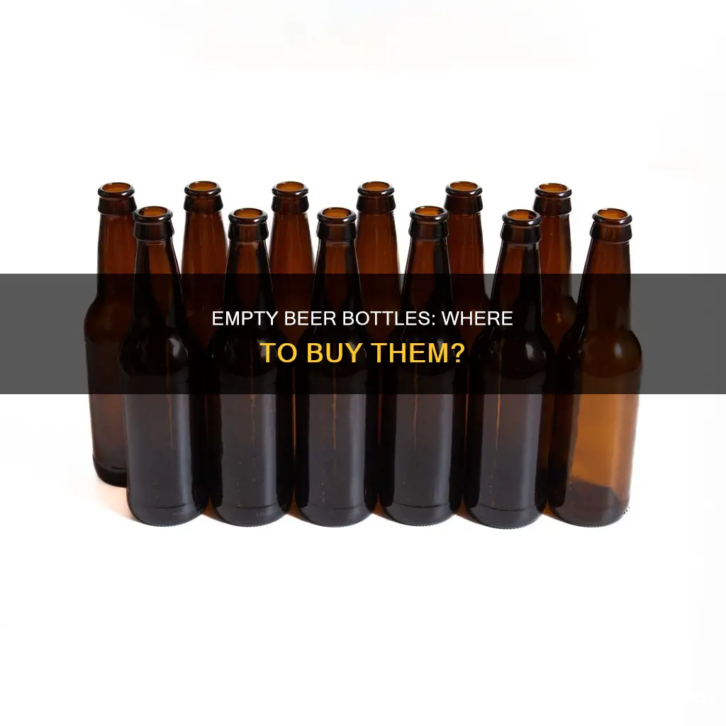 where can you buy empty beer bottles