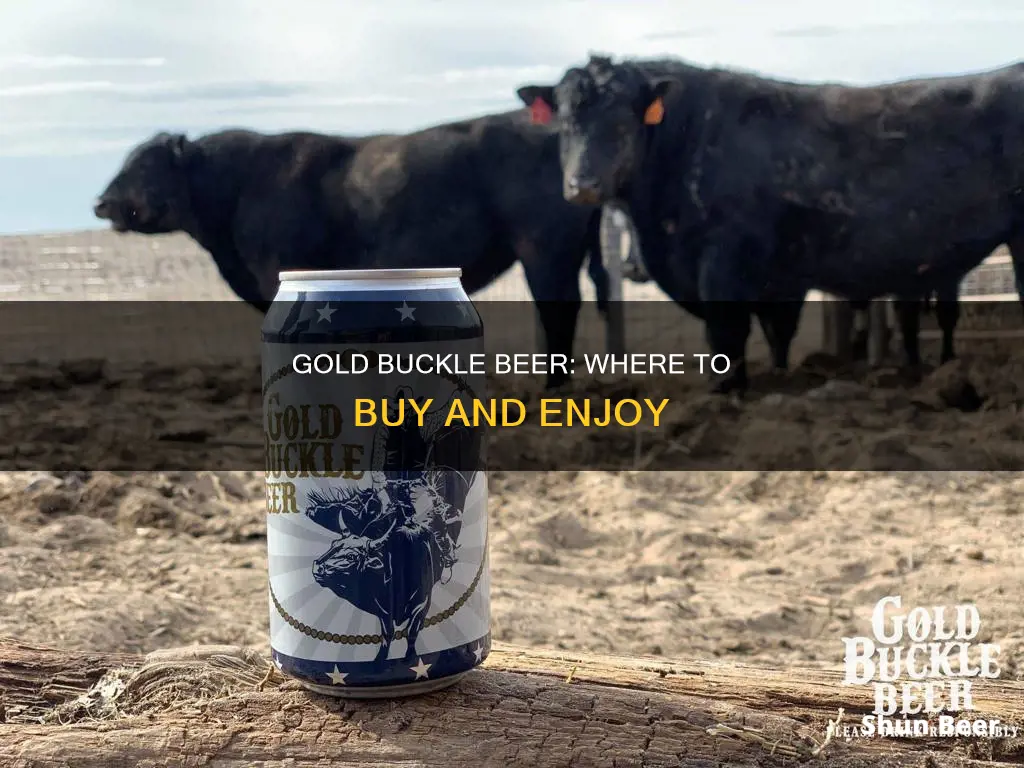 where can you buy gold buckle beer