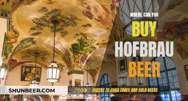 Hofbräu Beer: Where to Buy and What to Know