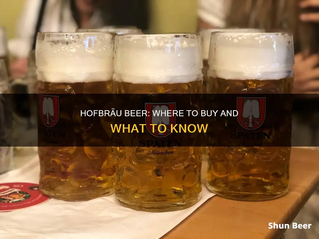 where can you buy hofbrau beer