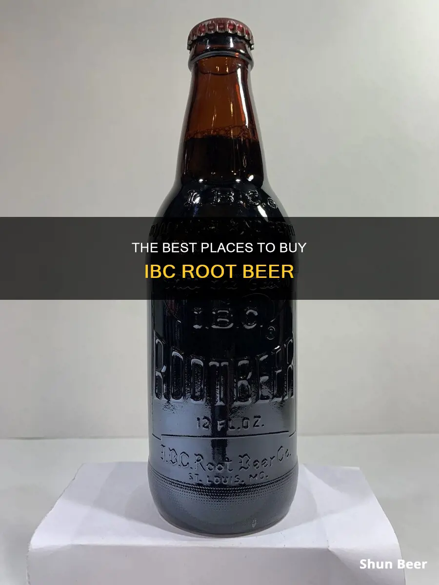 where can you buy ibc root beer