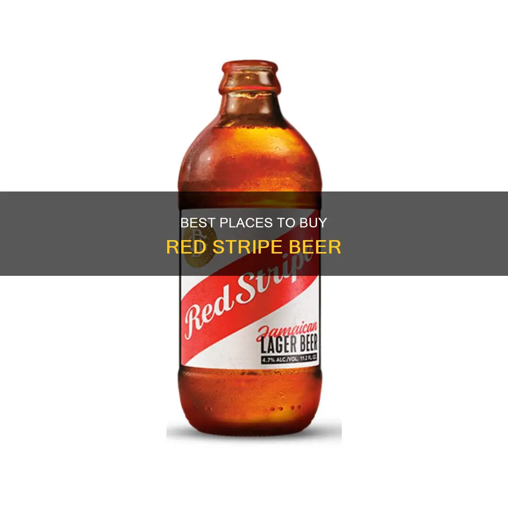 where can you buy jamaican red stripe beer