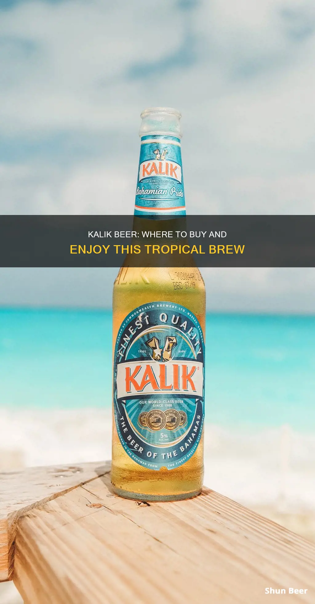 where can you buy kalik beer