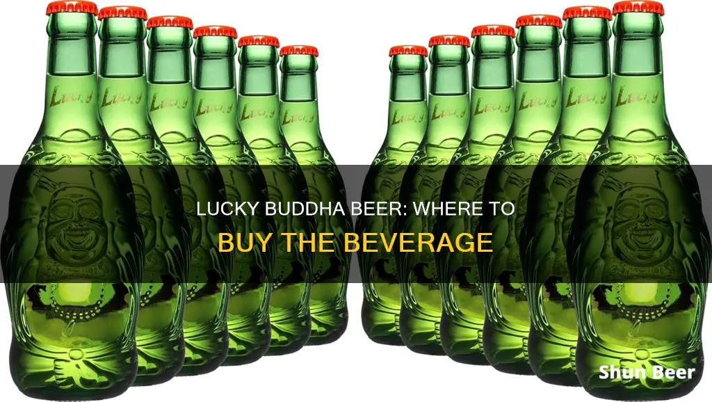 where can you buy lucky buddha beer