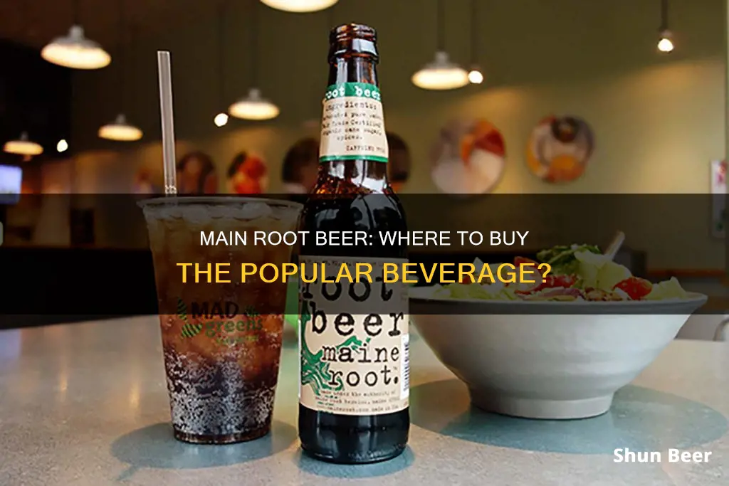 where can you buy main root beverages root beer