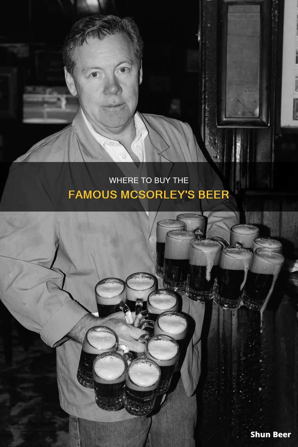 where can you buy mcsorley beer