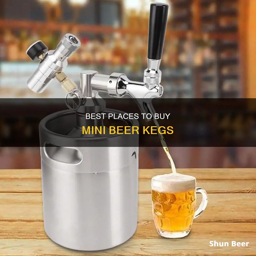 where can you buy mini kegs of beer