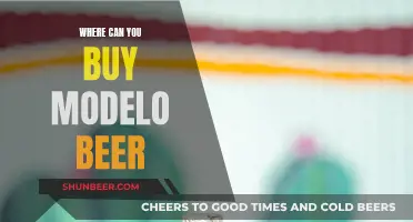 Modelo Beer: Where to Buy and Enjoy