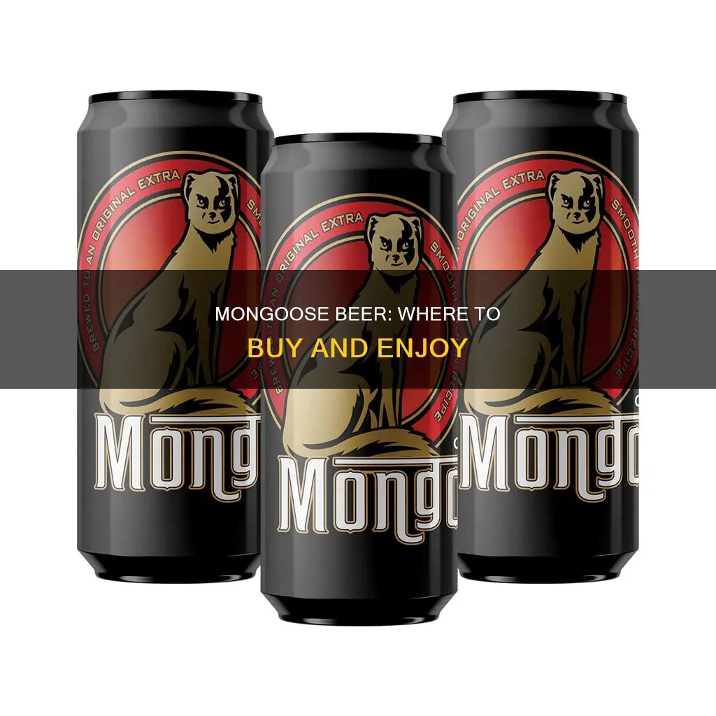 where can you buy mongoose beer