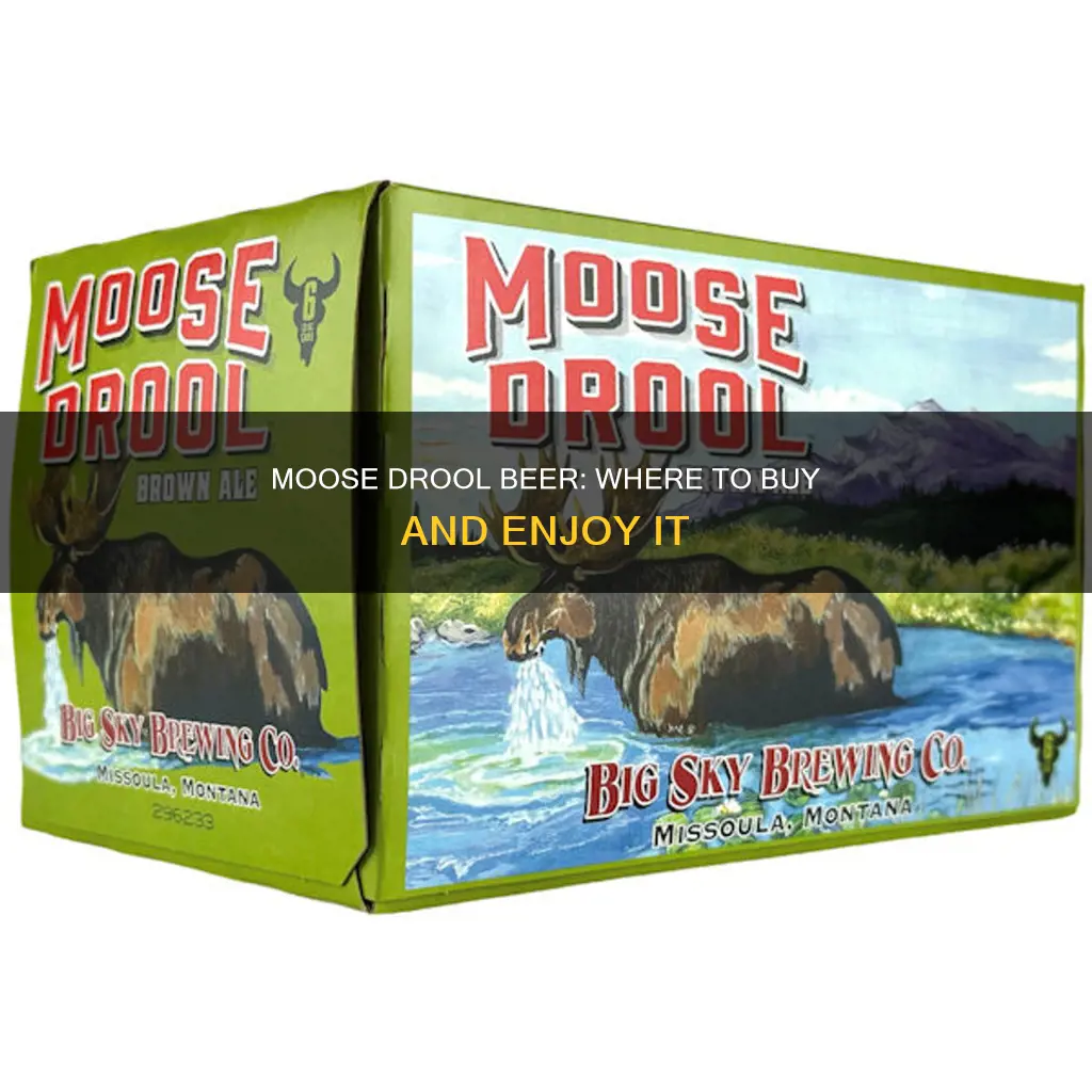 where can you buy moose drool beer