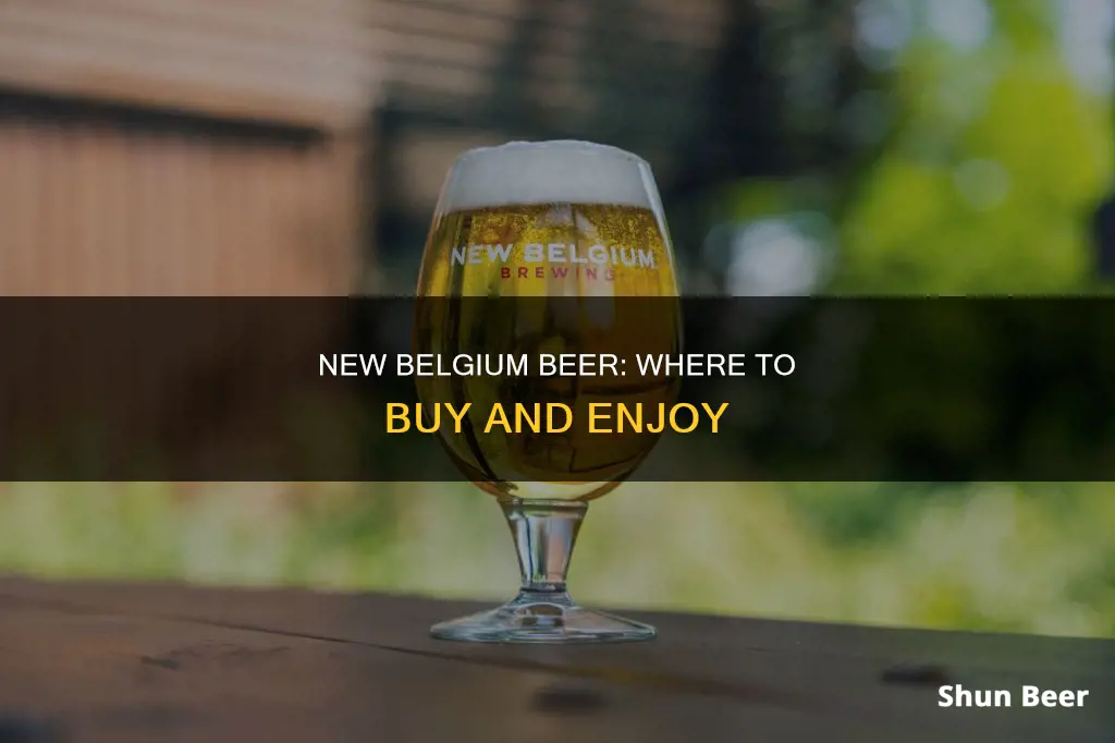 where can you buy new belgium beer