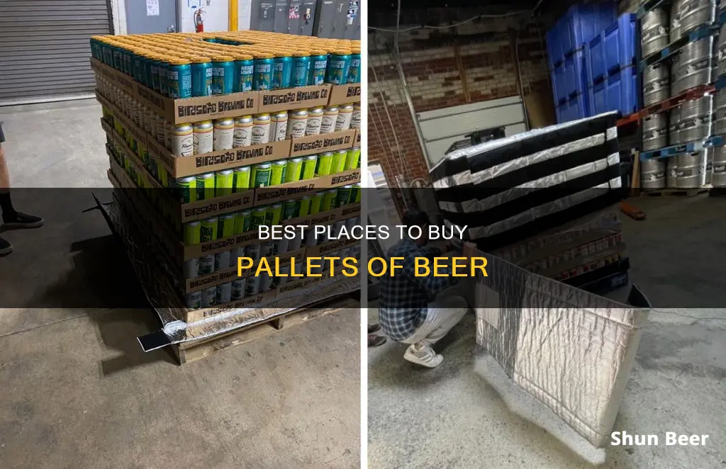 where can you buy pallets of beer