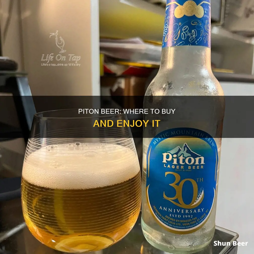 where can you buy piton beer