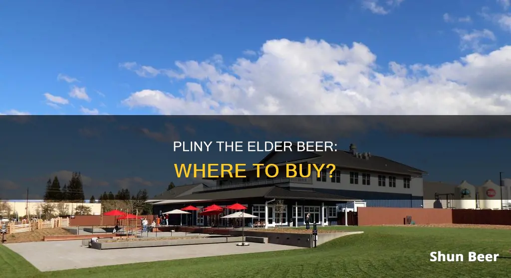 where can you buy pliny the elder beer