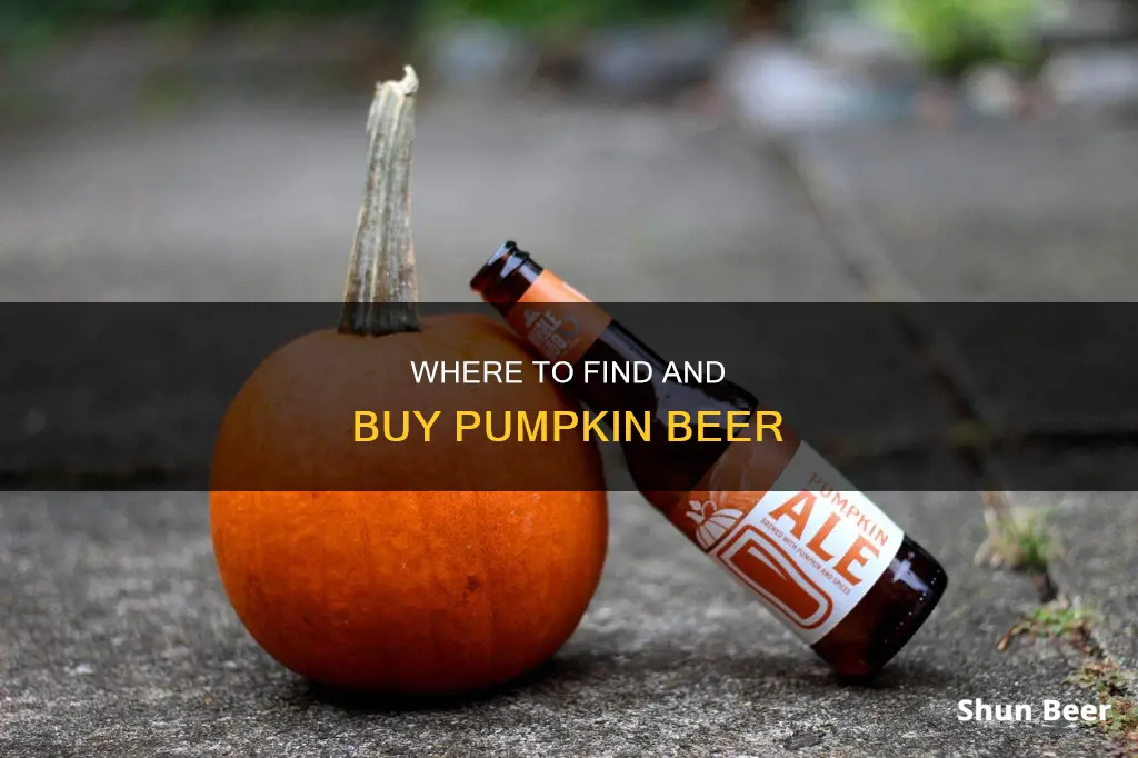 where can you buy pumking beer