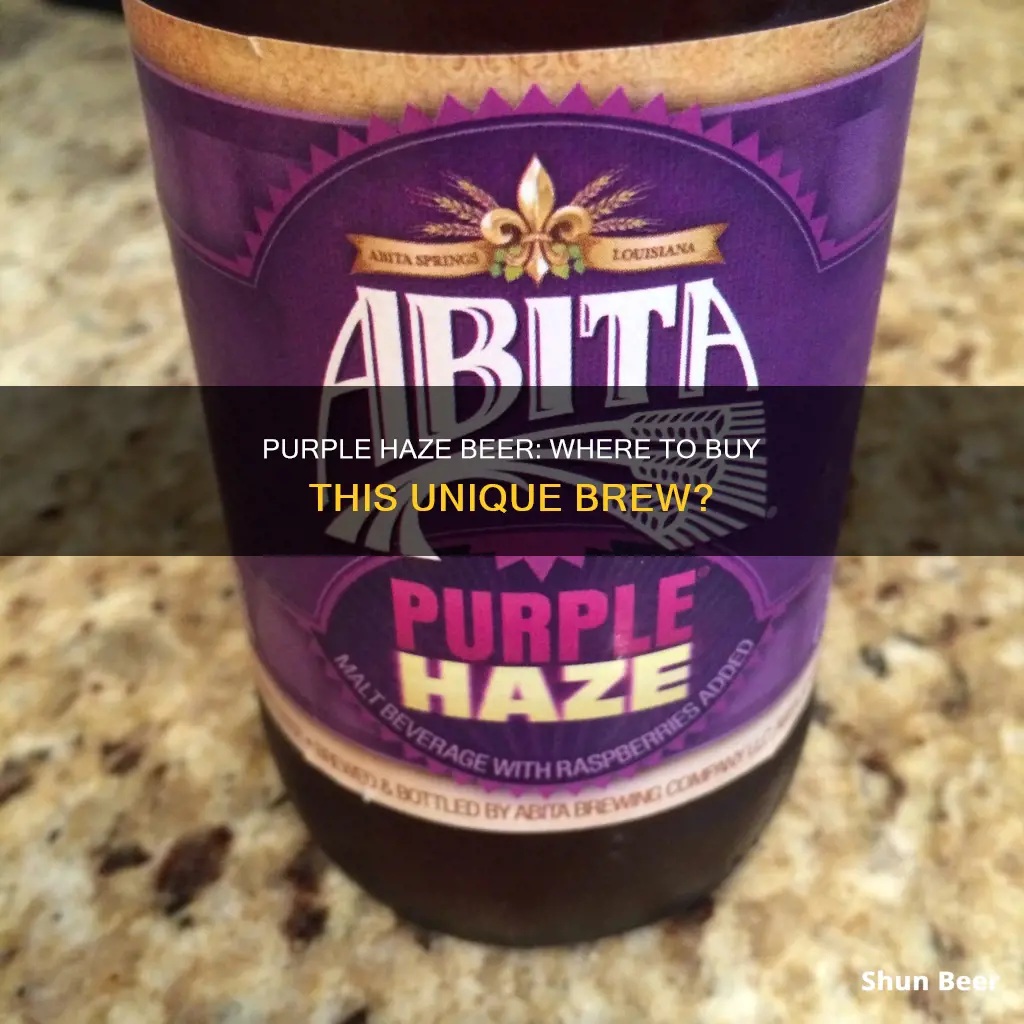 where can you buy purple haze beer