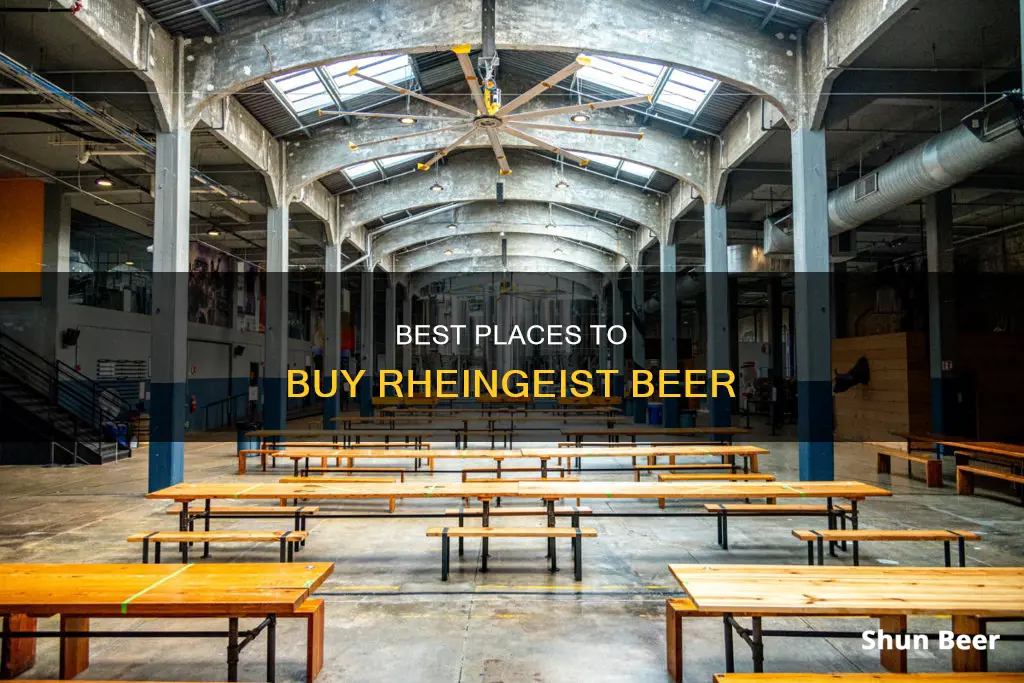 where can you buy rheingeist beer