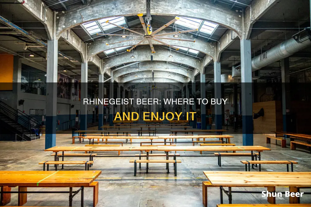 where can you buy rhinegeist beer