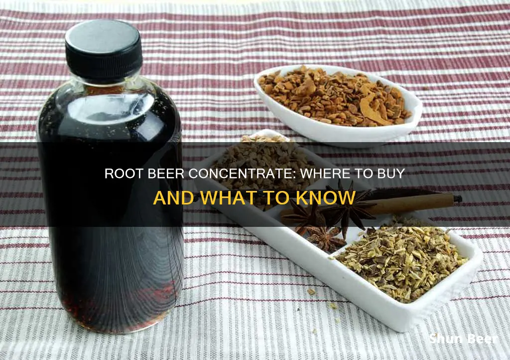 where can you buy root beer concentrate